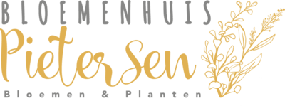 logo-bloemenhuis-pietersen-bewerk logo-bloemenhuis-pietersen-bewerk